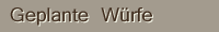 Geplante Würfe