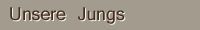 Unsere Jungs