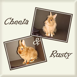 Cheela & Rusty