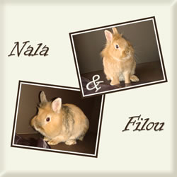 Nala & Filou