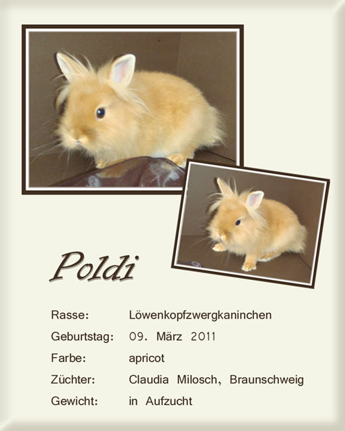 Poldi